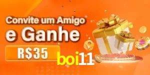 Promoções boi11