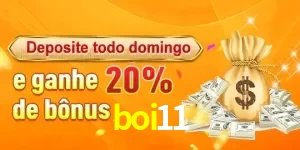 Promoções boi11